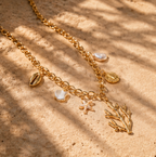 Collier Coquillages