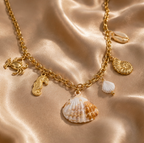 Collier Coquillages